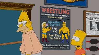 Los Simpson 24x14