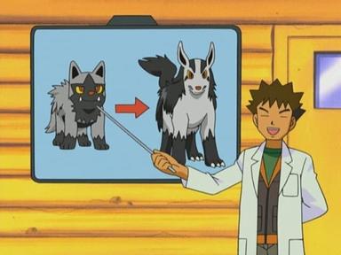 Pokémon 6x11