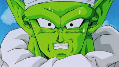 Dragon Ball Z Kai 5x7