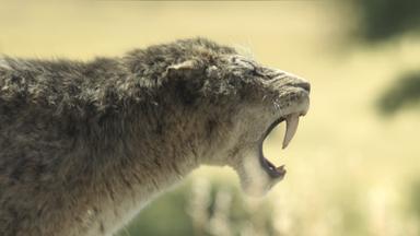 Planeta prehistórico 3x4