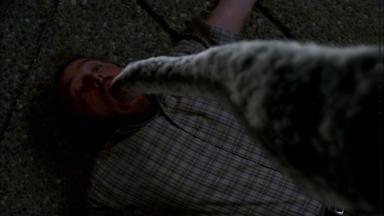 Supernatural 3x1