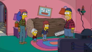 Los Simpson 29x17