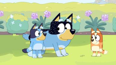 Bluey 3x12