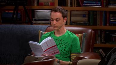 La Teoría del Big Bang 1x17