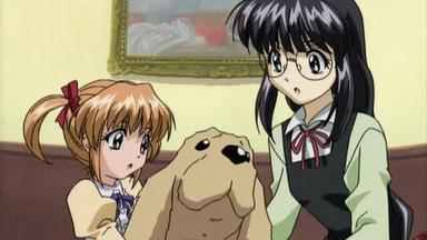 Sister Princess 1x2