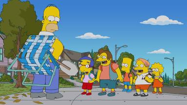 Los Simpson 35x1