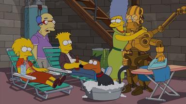 Los Simpson 25x18