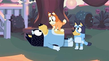 Bluey 1x51