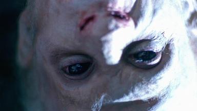 Los Expedientes Secretos X 8x3