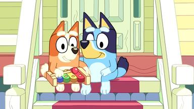 Bluey 1x1