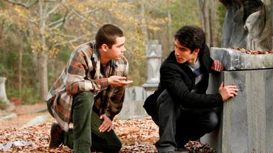 Lobo Adolescente 2x1