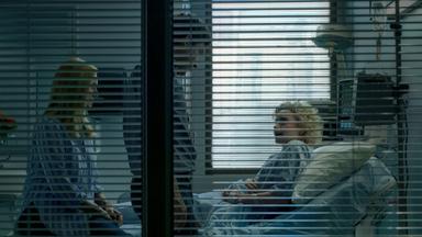 Ozark 3x7