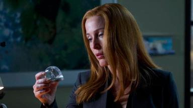 Los Expedientes Secretos X 11x5