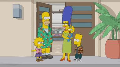 Los Simpson 34x12