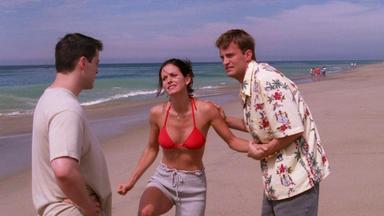 Friends 4x1