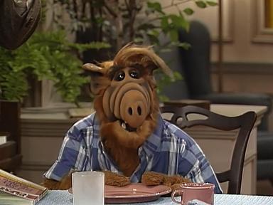 ALF 3x15