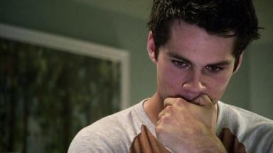Lobo Adolescente 4x9