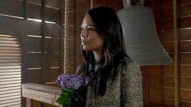 Lindas Mentirosas 7x19