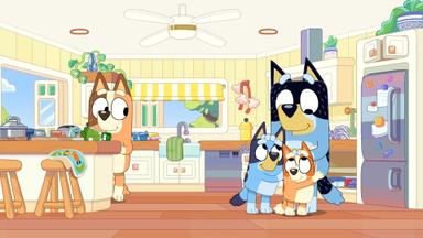 Bluey 3x35