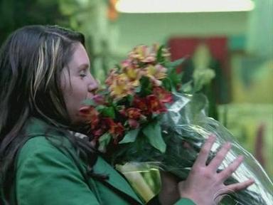 CSI: Nueva York 4x13