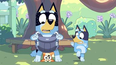 Bluey 2x13