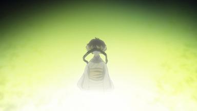 Mushishi 1x2