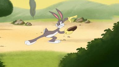 Looney Tunes Cartoons 4x5