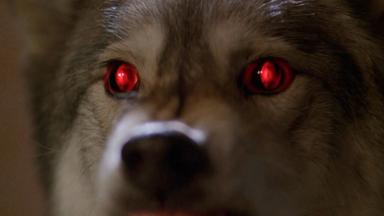 Los Expedientes Secretos X 6x16