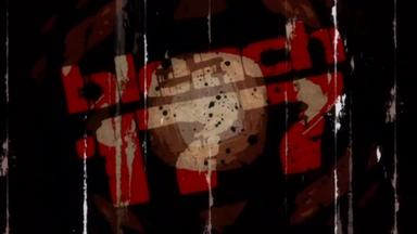 Bleach 1x177