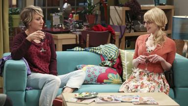 La Teoría del Big Bang 8x21