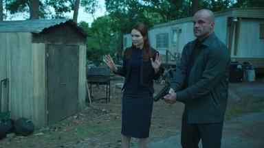 Ozark 4x9