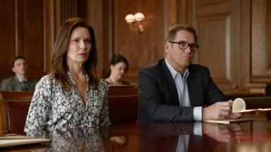 Bull 6x10