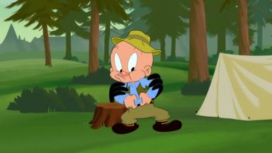 Looney Tunes Cartoons 4x4
