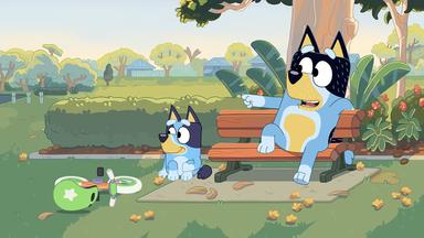 Bluey 1x11