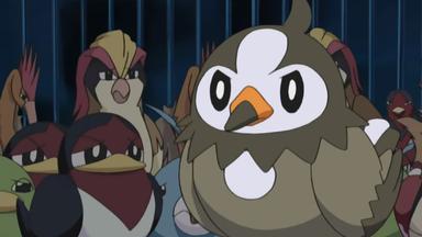 Pokémon 10x13