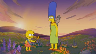 Los Simpson 35x2