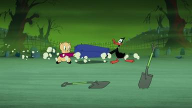 Looney Tunes Cartoons 5x4