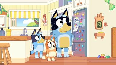 Bluey 3x1