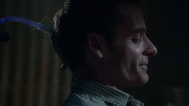 Fringe 4x2
