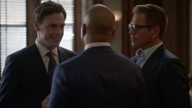 Bull 6x8