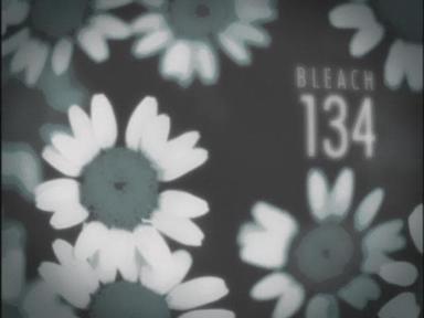 Bleach 1x134