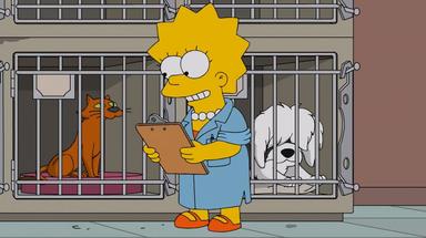 Los Simpson 27x15
