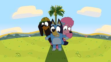 Bluey 1x5