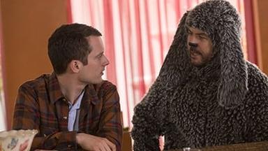 Wilfred 3x1