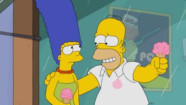 Los Simpson 32x13
