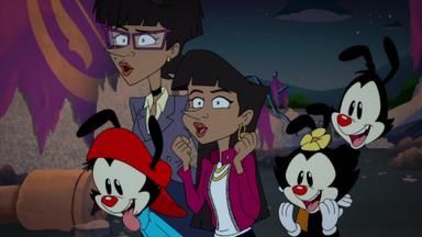 Animaniacs 2x11