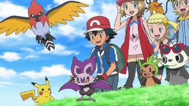 Pokémon 18x28