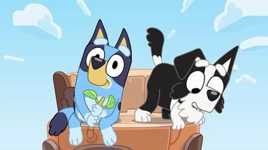 Bluey 2x25