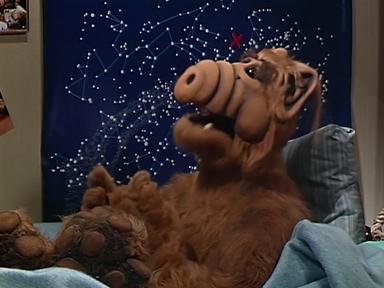 ALF 1x7