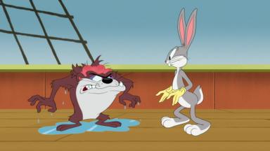 Looney Tunes Cartoons 5x9